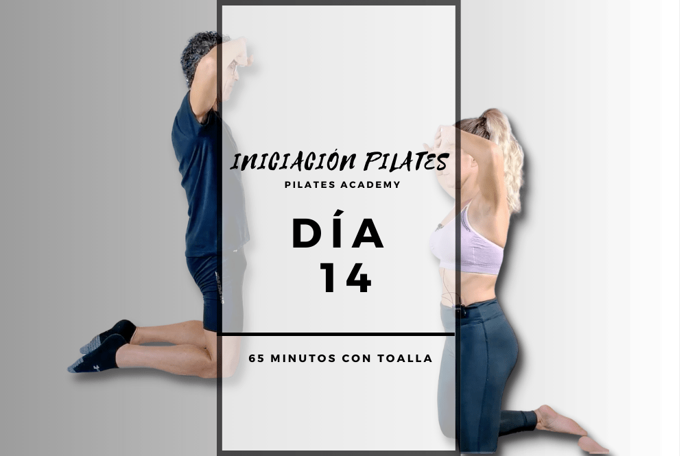 Día 14 – Conceptos básicos II -Refresh-