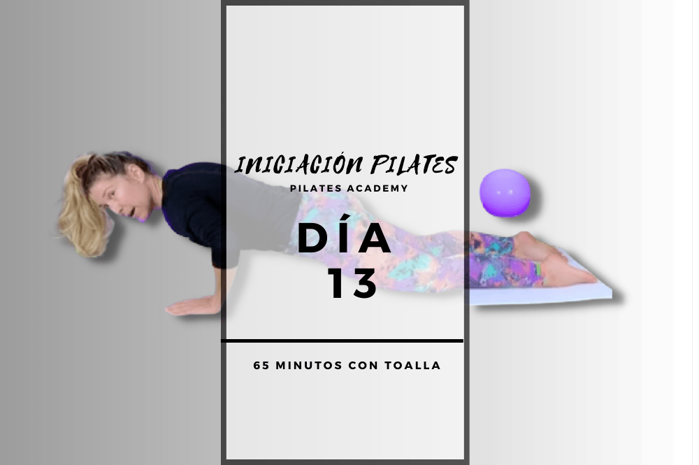 Día 13 – Preparación plancha con aro