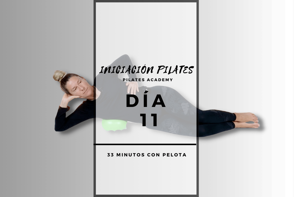 Día 11 – Movilidad costal -Refresh-
