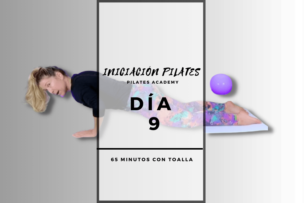 Día 9 – Preparación plancha con aro