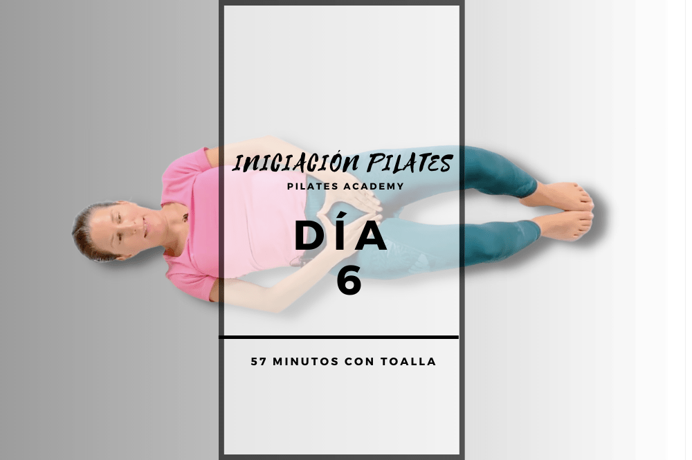 Día 6 – Conceptos básicos I
