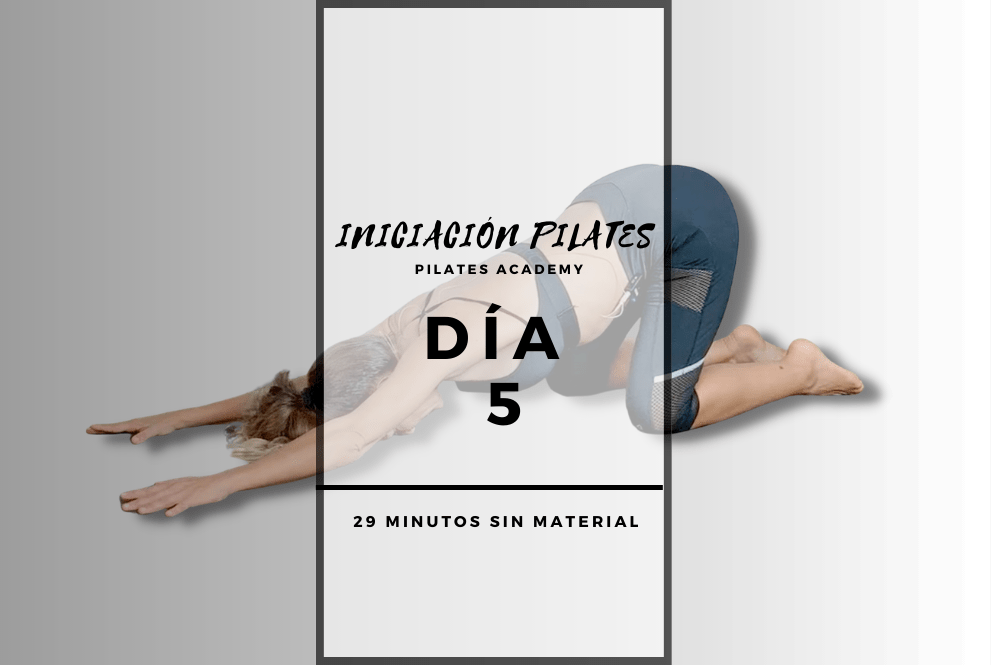 Día 5 – Movilidad global