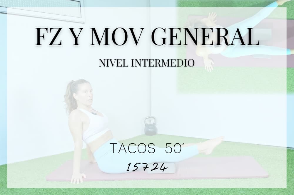 Fz y Mov general🟡15724