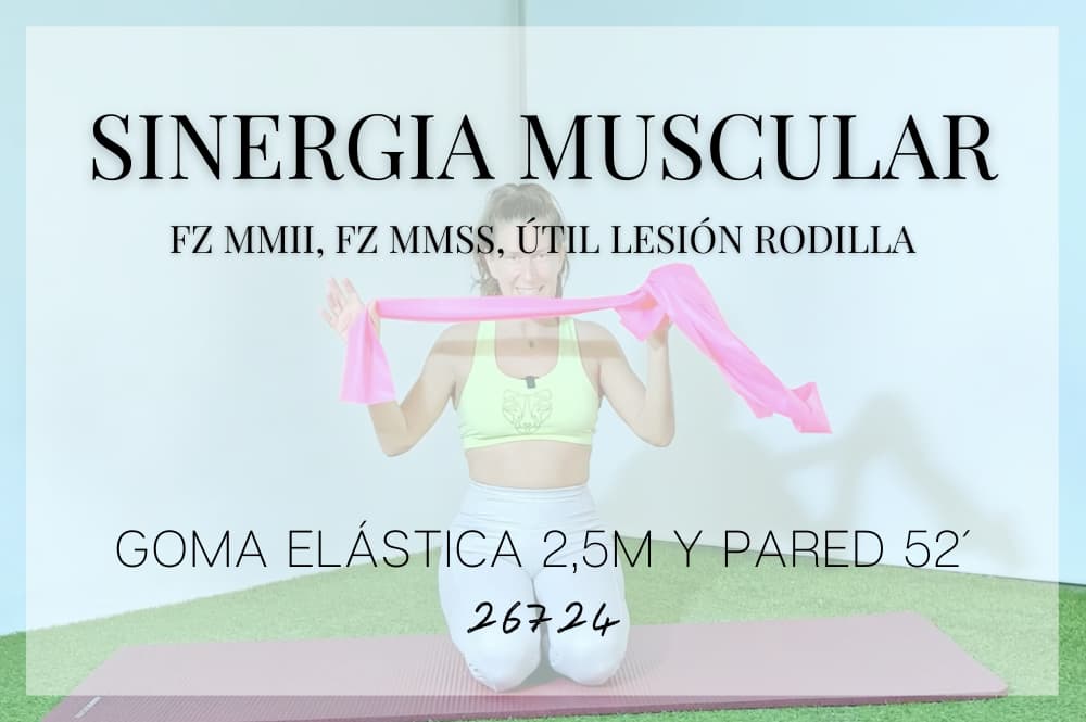 Sinergia muscular 🎲26724