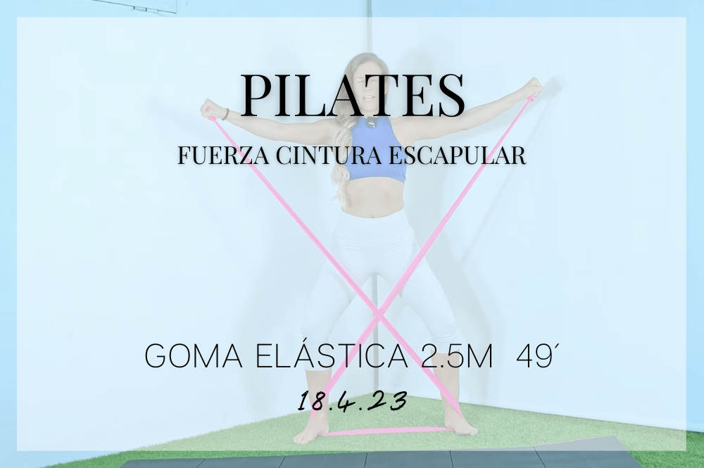 Fuerza cintura escapular 💪 18423